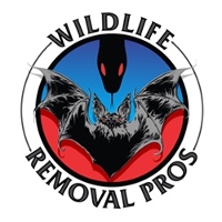 Daily deals: Travel, Events, Dining, Shopping Wildlife Removal Pros in Lexington KY
