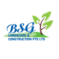 BSG Services Pte Ltd