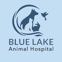 Daily deals: Travel, Events, Dining, Shopping Blue Lake Animal Hospital in Caledonia MI